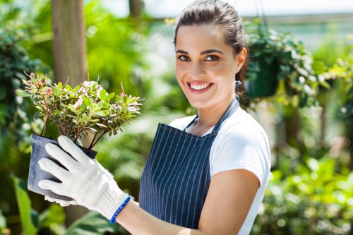 Tidy tree pruning service for a commercial property in Shadwell