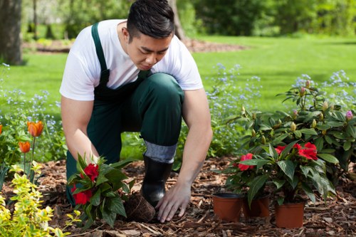 Secure payment options including card and PayPal for tree surgery services