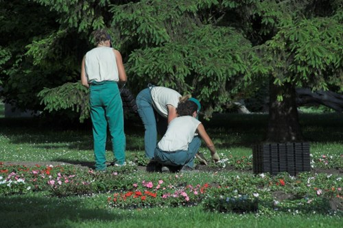 Professional hedge trimming and waste removal for local gardens