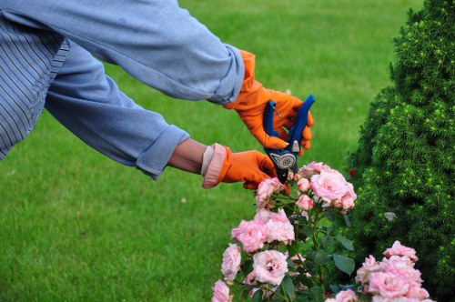 Customer concern being logged for tree work service review