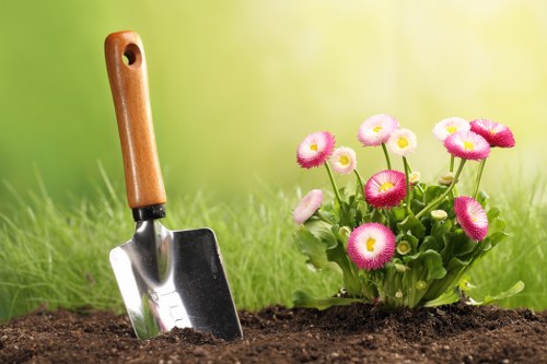 Preparing a Shadwell garden for landscaping after stump grinding